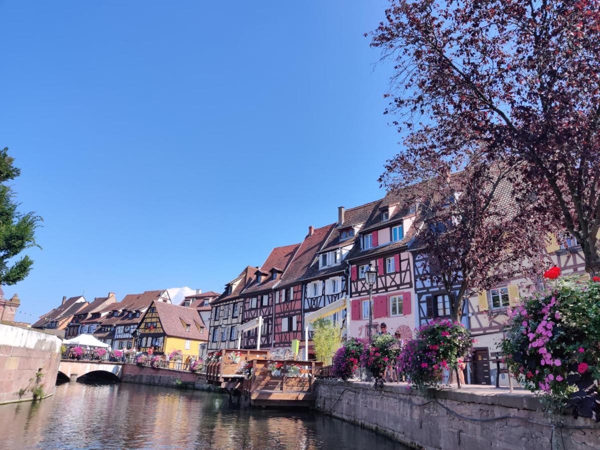 Au Bretzel Dore - Centre Historique Colmar Exterior foto